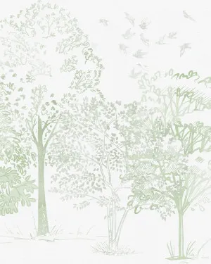 Watercolour Trees in Sage Green Wallpaper Mural by oliveetoriel.com, a Wallpaper for sale on Style Sourcebook