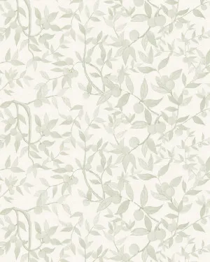 Citrus Tree Luxe in Sage Green Wallpaper by oliveetoriel.com, a Wallpaper for sale on Style Sourcebook
