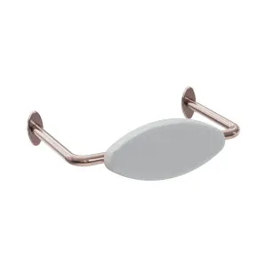 Mecca Care DDA Accessible Toilet Backrest Brushed Bronze by NERO, a Accessible for sale on Style Sourcebook