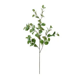 Elm Leaf Spray Green - 122cm by James Lane, a Plants for sale on Style Sourcebook
