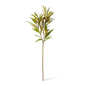 Silky Oak Leaf Spray - 40 x 15 x 122cm by James Lane, a Plants for sale on Style Sourcebook