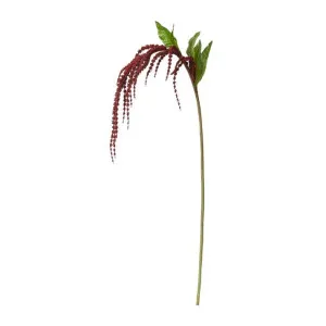 Amaranthus Spray Burgundy - 114CM by James Lane, a Plants for sale on Style Sourcebook