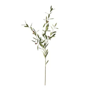 Olive Spray Grey Green - 100CM by James Lane, a Plants for sale on Style Sourcebook