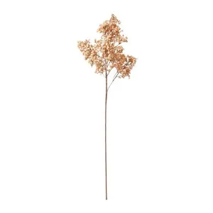 Elderberry Stem Pink - 61 cm by James Lane, a Plants for sale on Style Sourcebook