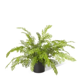 Fern Chain Green - 46cm by Elme Living, a Plants for sale on Style Sourcebook