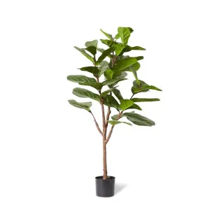 Fiddle Lush Tree Green - 150cm by Elme Living, a Plants for sale on Style Sourcebook