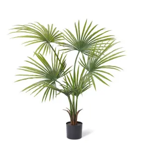 Kwai Palm (Outdoor) Green - 130cm by Elme Living, a Plants for sale on Style Sourcebook