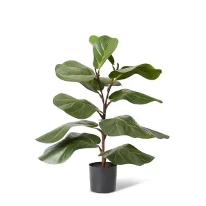 Fiddle Lush Tree Green by Elme Living, a Plants for sale on Style Sourcebook