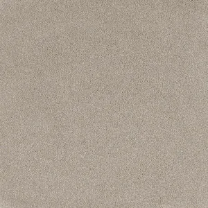 Comfort Touch - Charm 9125 by EC Carpets, a Twist for sale on Style Sourcebook