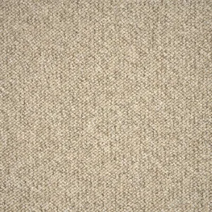 Pebble Bay - Rapid 4801 by EC Carpets, a Loop for sale on Style Sourcebook