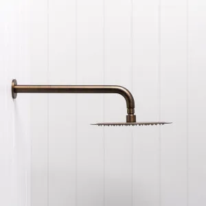 Wall Shower Arm and Head Antique Brass 250mm by Yabby by Yabby, a Shower Heads & Mixers for sale on Style Sourcebook