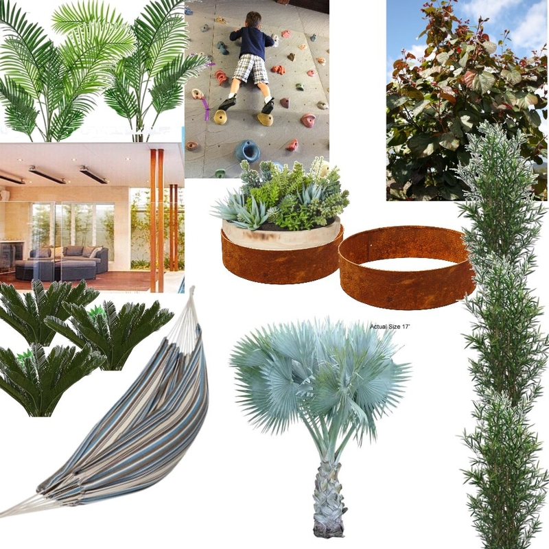 Palm Springs 2 Mood Board by LizShashkof on Style Sourcebook