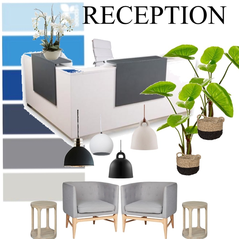 Grinrod RECEPTION Mood Board by nicolestewart on Style Sourcebook