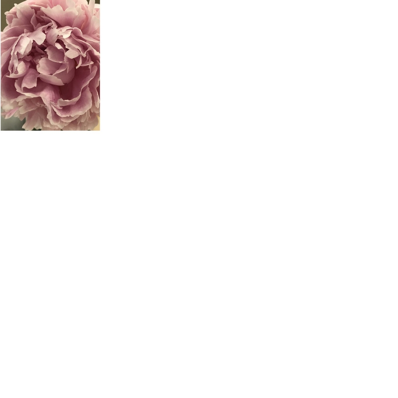 Girls Upstairs Bathroom Mood Board by lovehome on Style Sourcebook