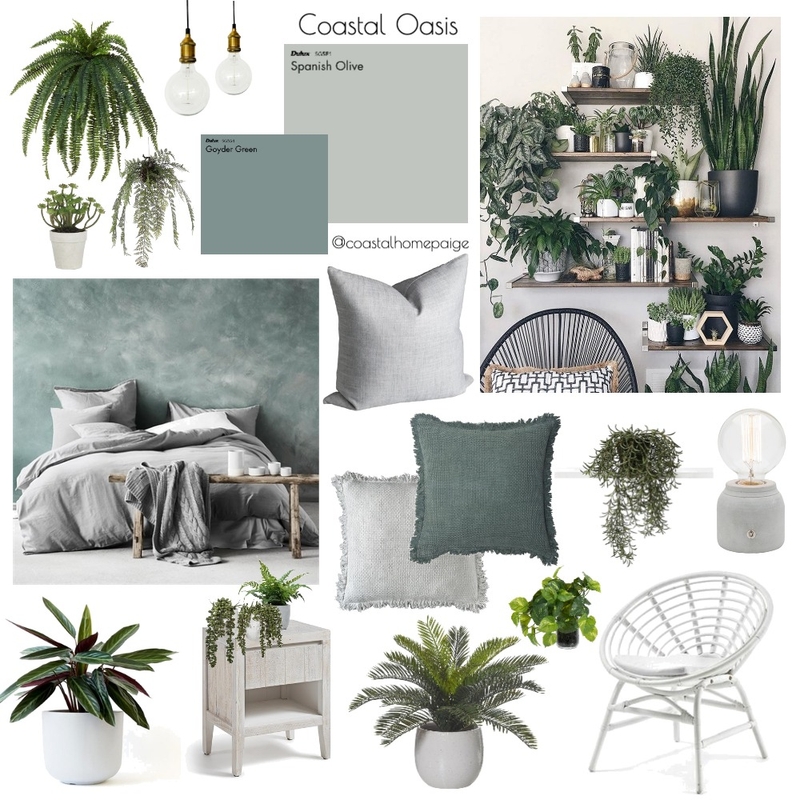 Mackenzie's plant room Mood Board by CoastalHomePaige on Style Sourcebook