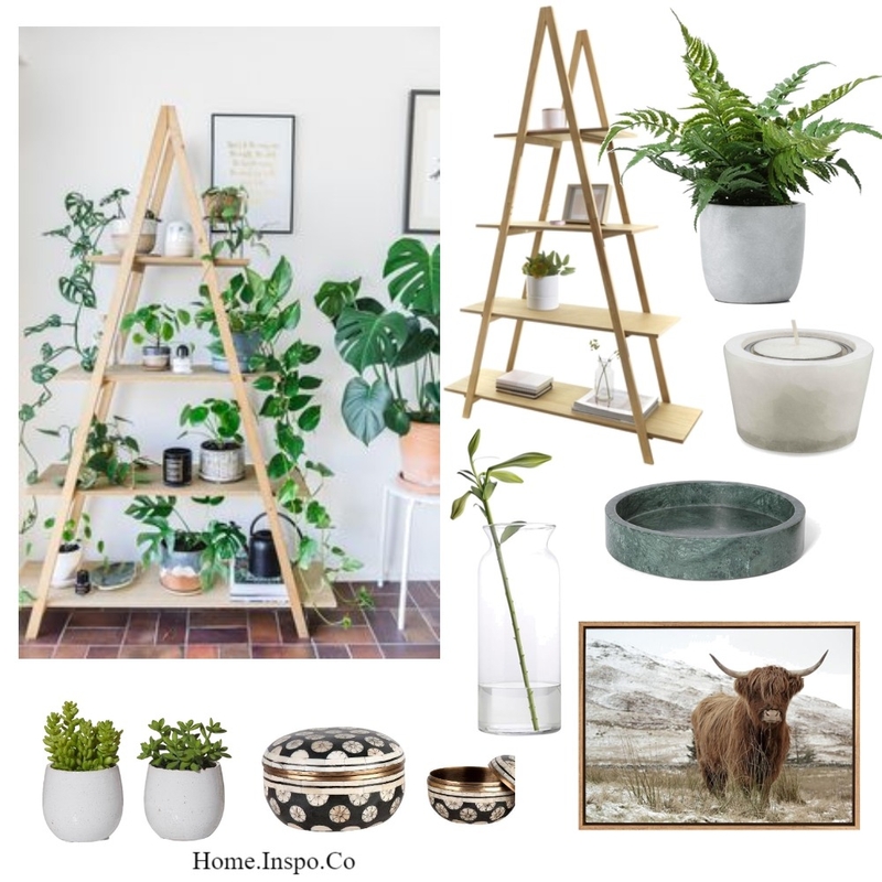 Plant Oasis Mood Board by Home Inspo Melbourne on Style Sourcebook