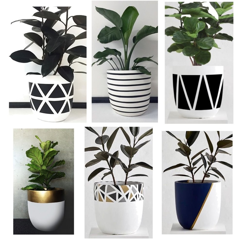 pot plants Mood Board by angiecooper on Style Sourcebook