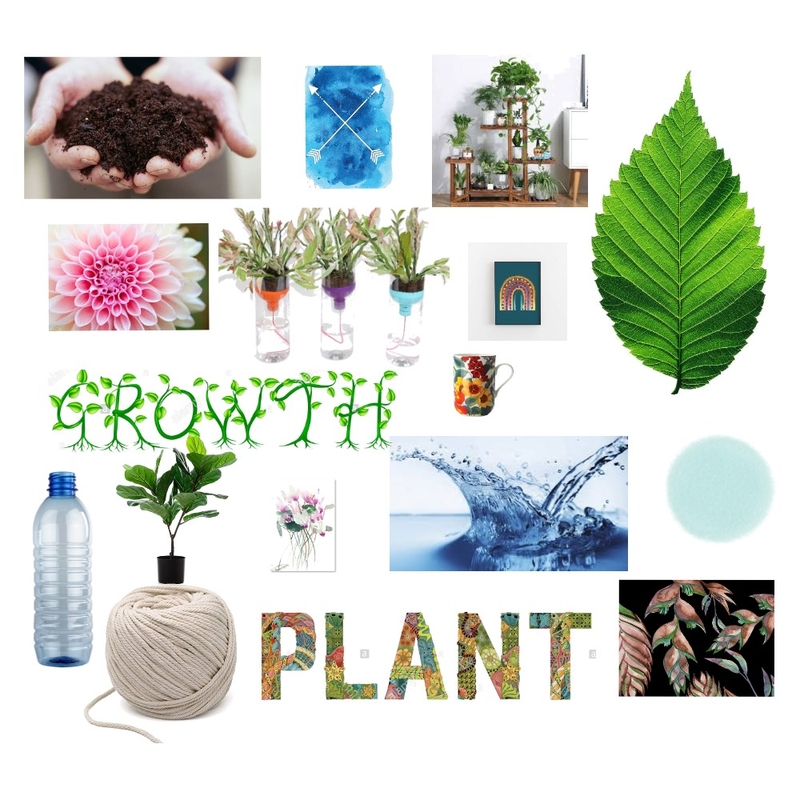 Self - Watering Plant Mood Board Mood Board by fatimah.zahr on Style Sourcebook