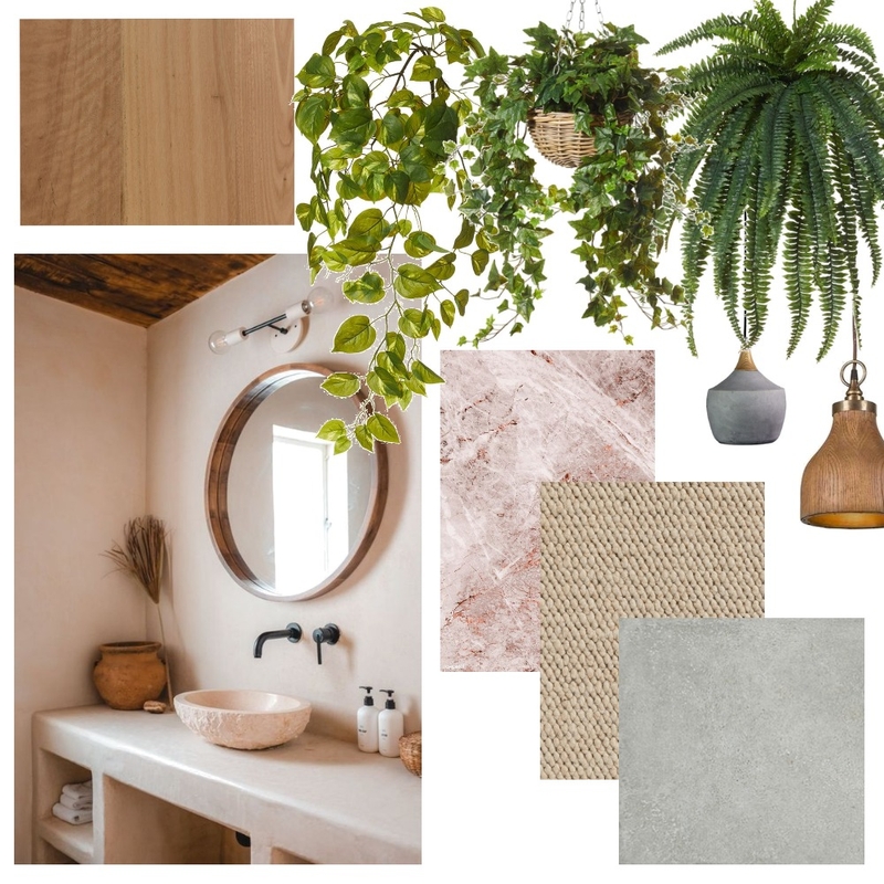 pink plants Mood Board by Plants By Bela on Style Sourcebook