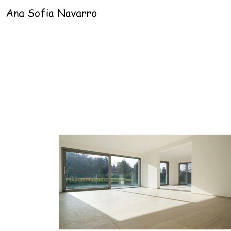 Ana Sofia Navarro Mood Board by Susana Damy Interior and Staging on Style Sourcebook