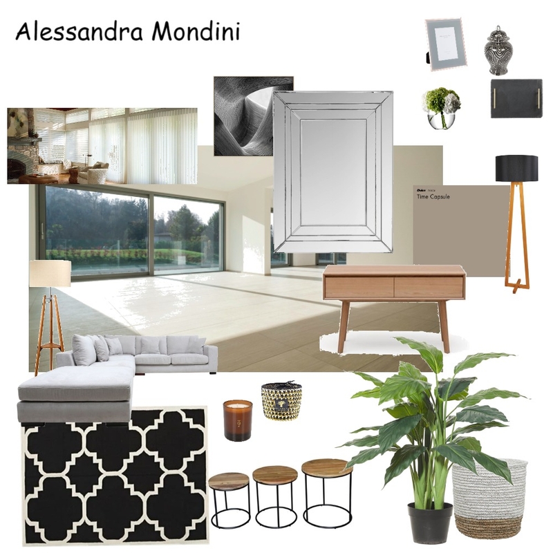 Alessandra Mondini Mood Board by Susana Damy Interior and Staging on Style Sourcebook