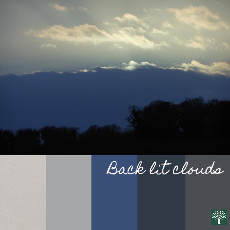 Back Lit Clouds Mood Board by Chestnut Interior Design on Style Sourcebook