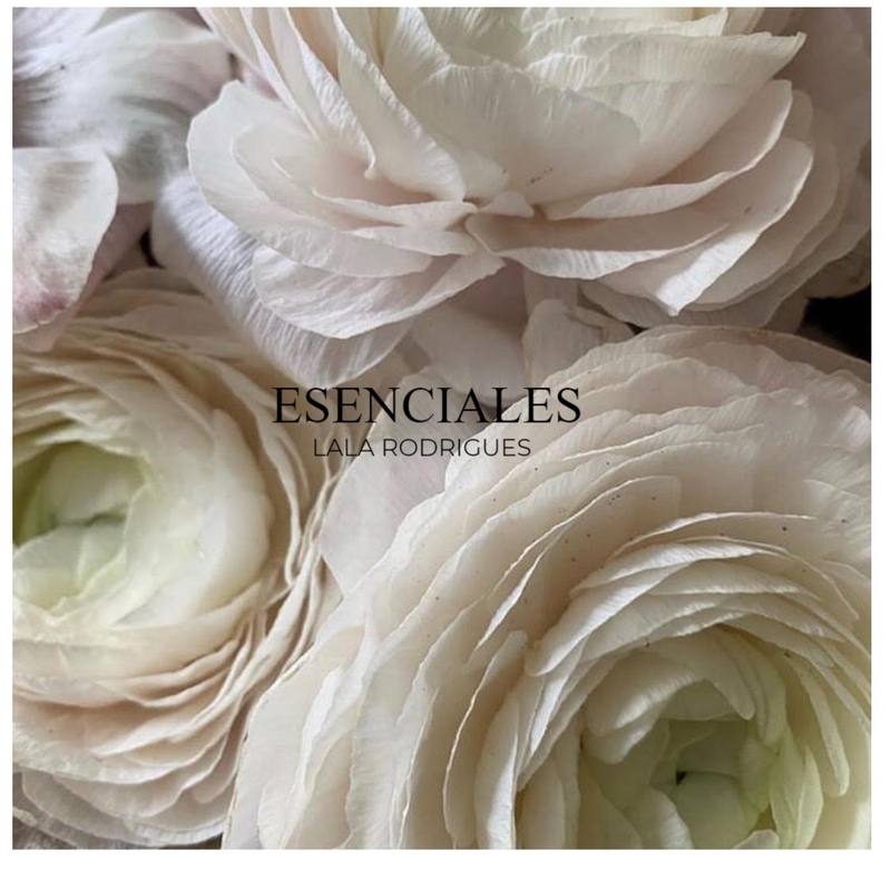 ESENCIALES Mood Board by rosangela on Style Sourcebook