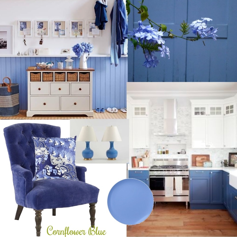 Cornflower Blue - Inspo Board 1 Mood Board by interiorology on Style Sourcebook