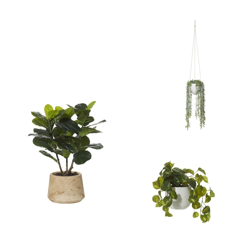 PLANTS Mood Board by LIRONW on Style Sourcebook