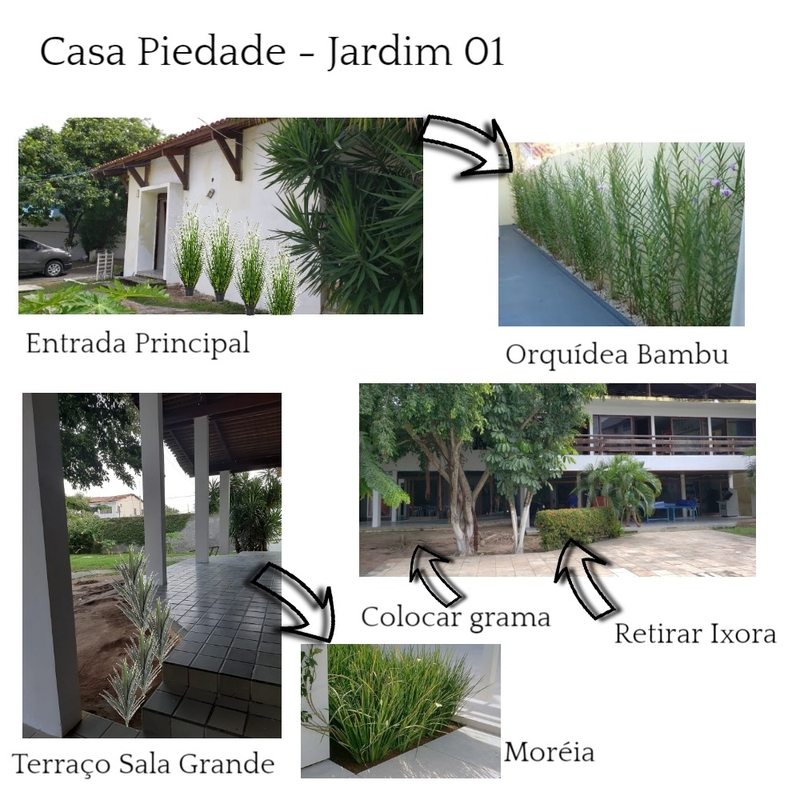 Casa Piedade - Jardim 01 Mood Board by Ana Sofia Navarro on Style Sourcebook