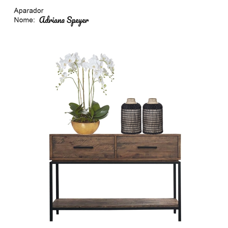 Adriana Speyer Mood Board by Staging Casa on Style Sourcebook