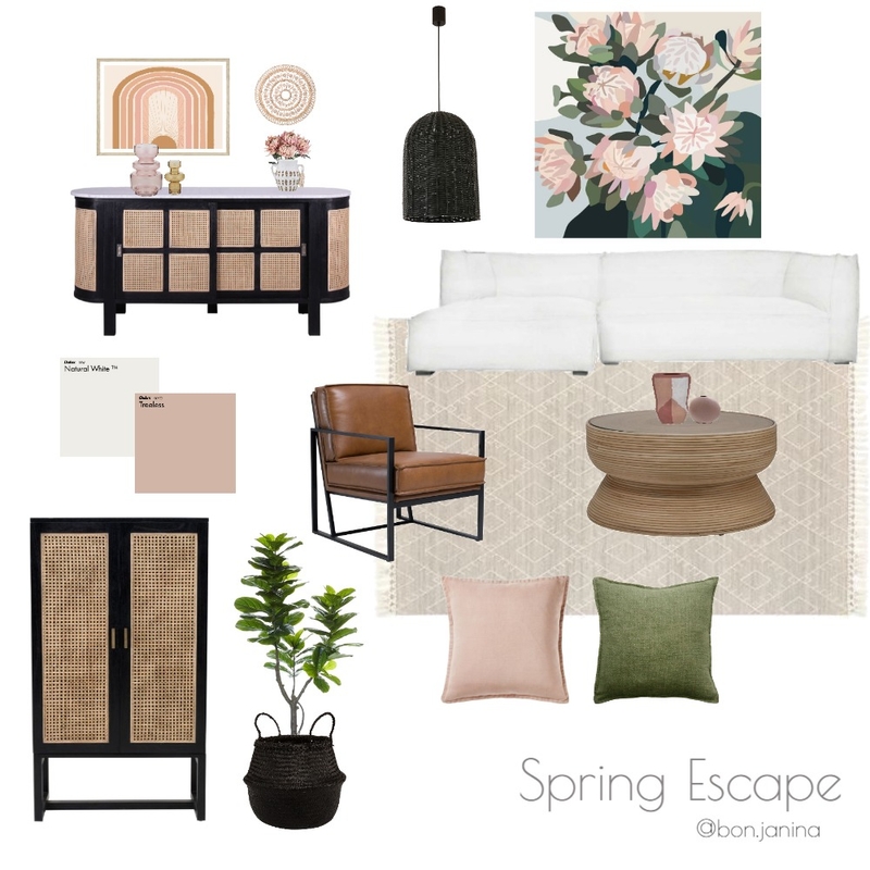 oz furniture comp 2 Mood Board by blukasik on Style Sourcebook