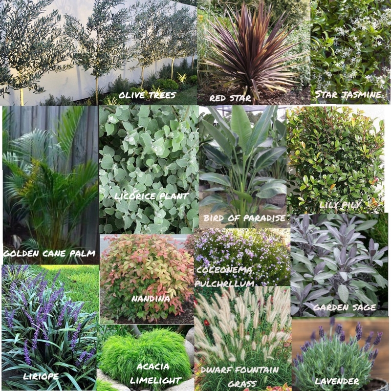 Garden plants Mood Board by Ebcocopops on Style Sourcebook