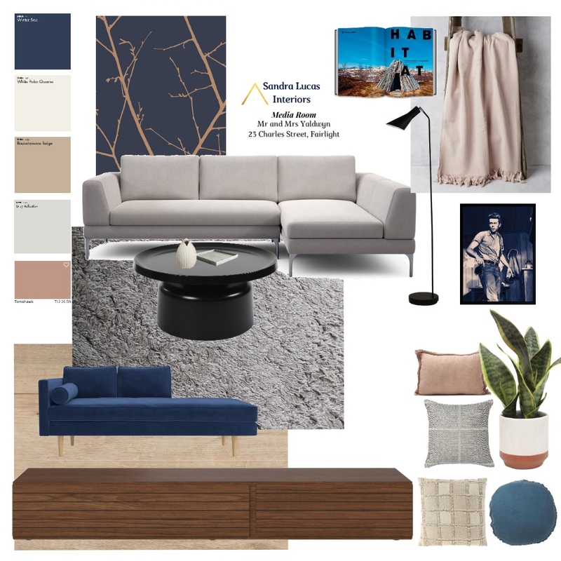 Media Room Mood Board by Sandra Lucas Designs on Style Sourcebook