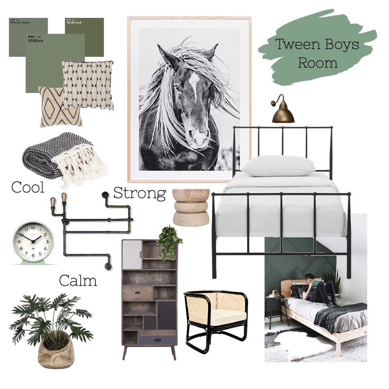 Tween Boys Room Mood Board by Love Lee Renovations on Style Sourcebook