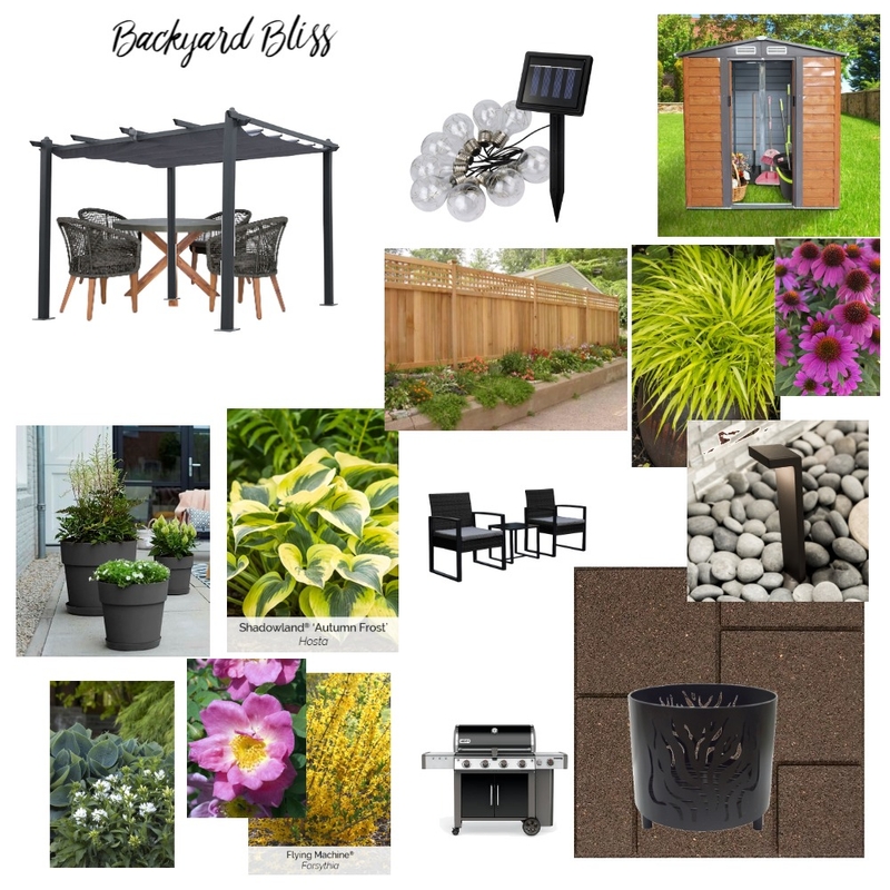 Backyard Bliss Mood Board by Kdesigns on Style Sourcebook