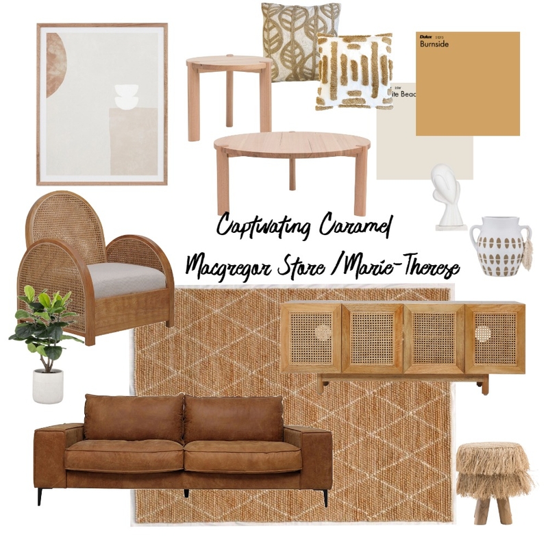 Captivating Caramel Mood Board by Oz Design Macgregor Store on Style Sourcebook