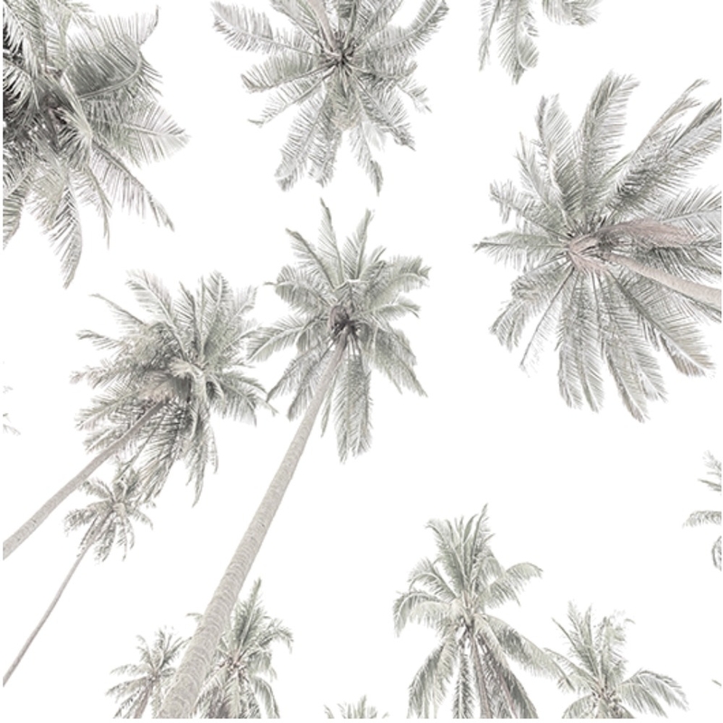 palms Mood Board by kamoroso on Style Sourcebook