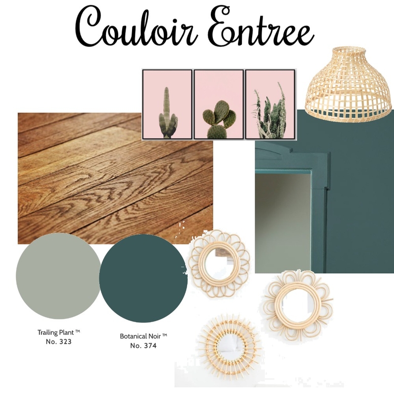 Couloir Maisons Alfort Mood Board by efescou on Style Sourcebook