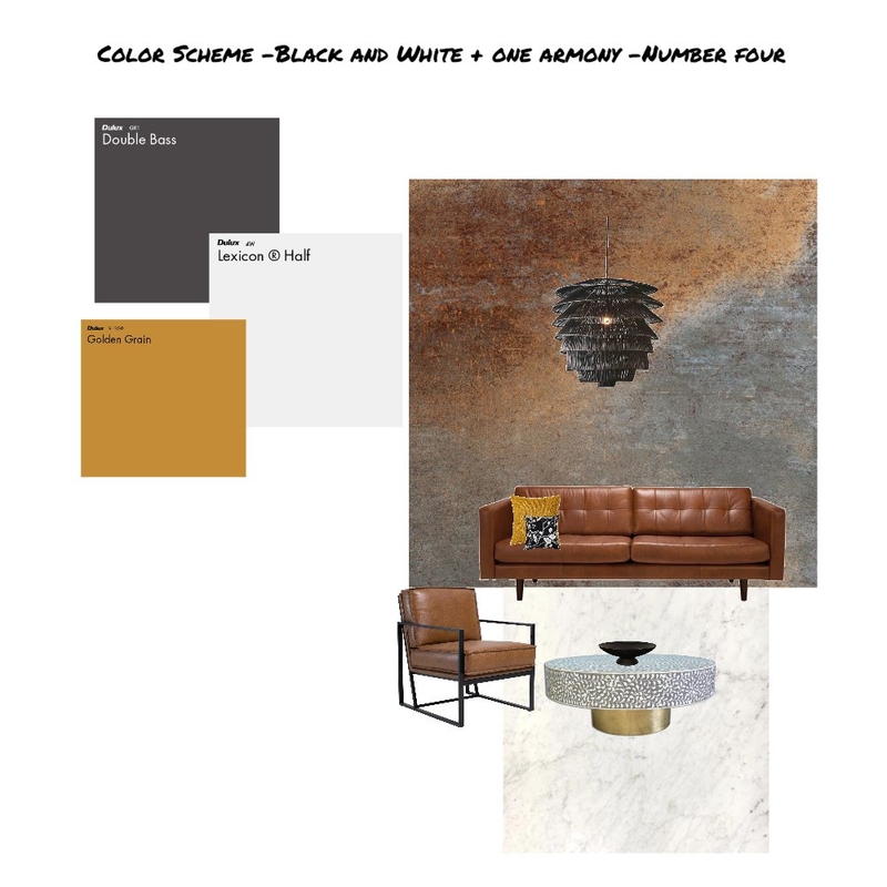 Color Scheme Black And White Armony -Number four Mood Board by zenic mujica on Style Sourcebook