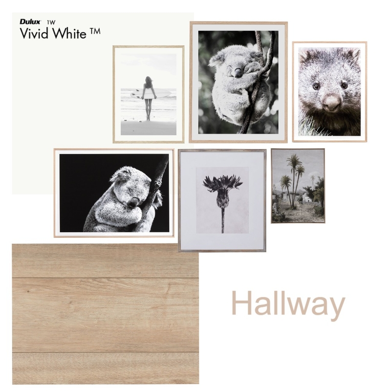 Latha & Clement - Hallway1 Mood Board by KarenEllisGreen on Style Sourcebook