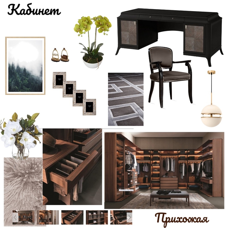 кабинет и прихожая Mood Board by olenadkherson on Style Sourcebook