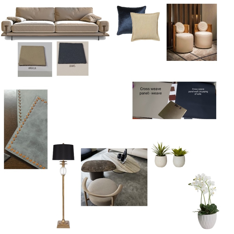 CASA WALLS-LIVING AREA Mood Board by priyankam26588 on Style Sourcebook