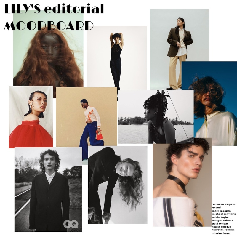 editorial moodboard Mood Board by lilyyrose13 on Style Sourcebook