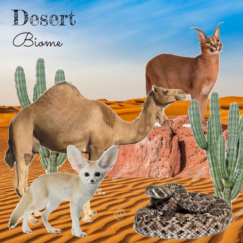 DESERT Mood Board by HeidiN on Style Sourcebook