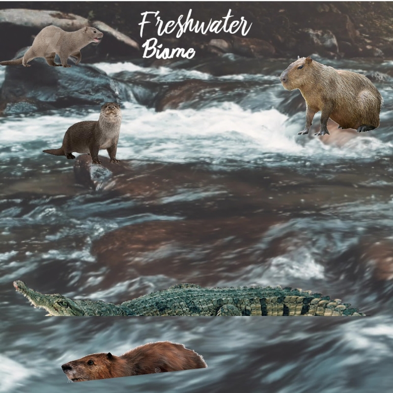 FRESHWATER Mood Board by HeidiN on Style Sourcebook