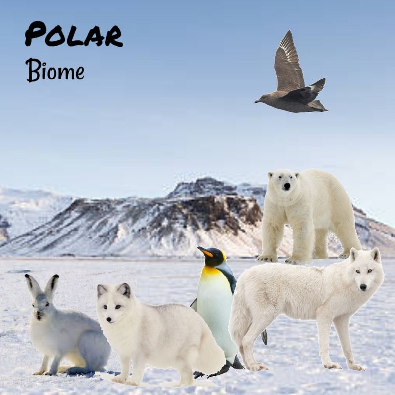 POLAR Mood Board by HeidiN on Style Sourcebook