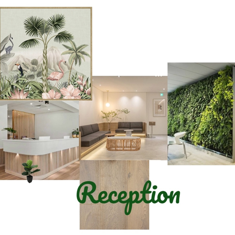 Medical practice reception Mood Board by Penelope Dimitropoulou on Style Sourcebook