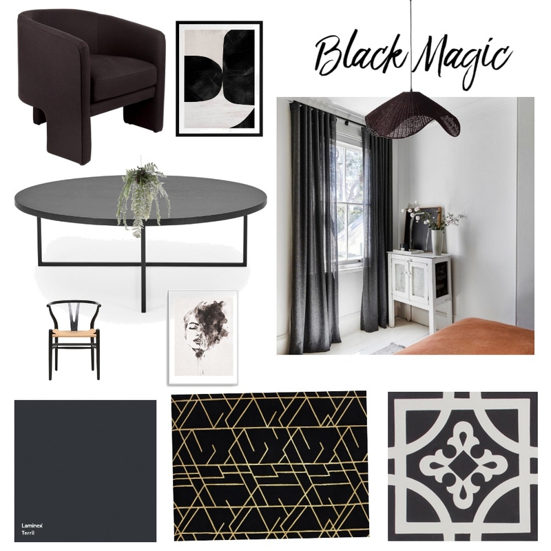 Black Magic Mood Board by Kathrein on Style Sourcebook