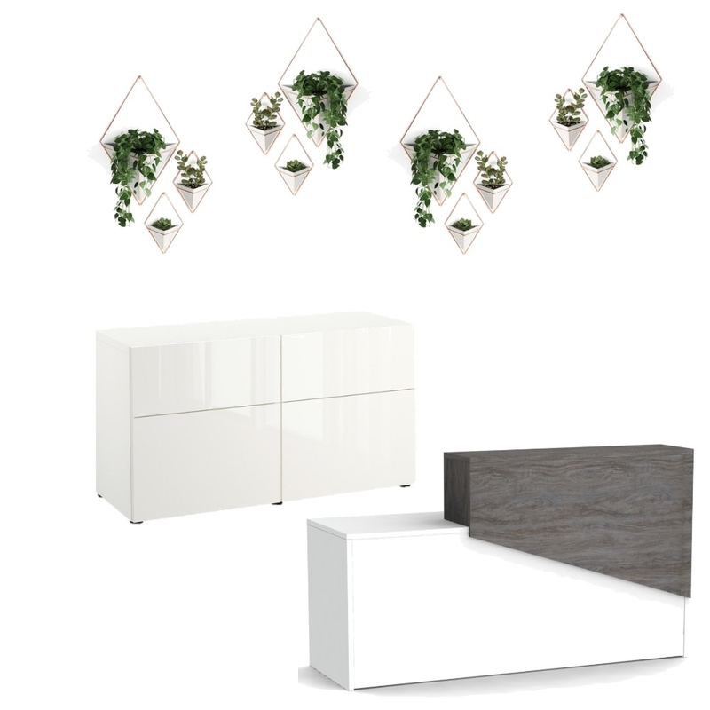 MB PLANT WALL 7 Mood Board by NATASHA AMATO on Style Sourcebook